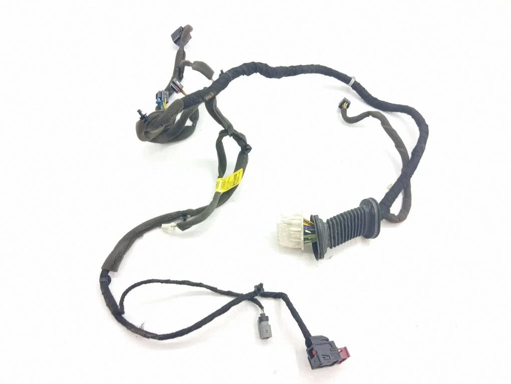 Front door wiring loom 95161822