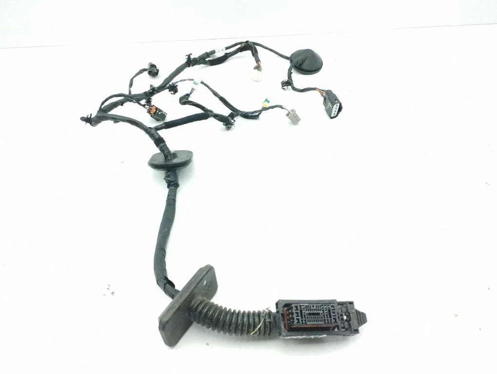Front door wiring loom 91610F1090