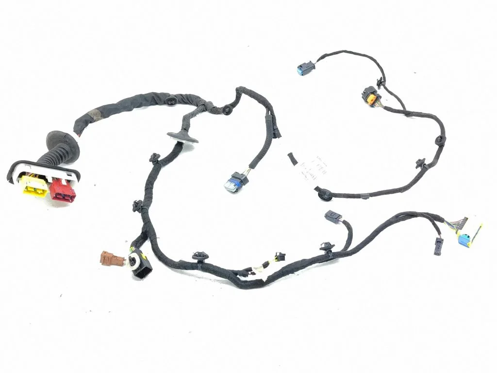 Front door wiring loom 9807916080