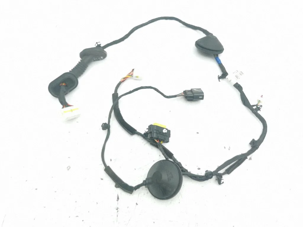 Esiukse juhtmestik 916602W031