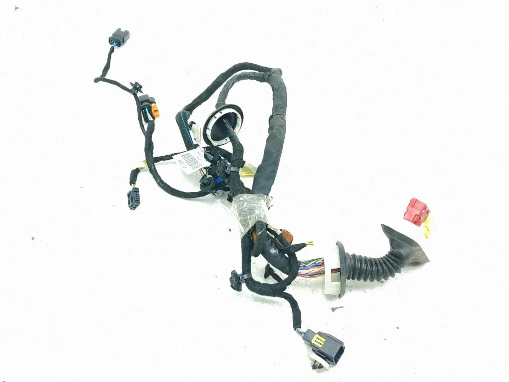 Front door wiring loom 9807917380