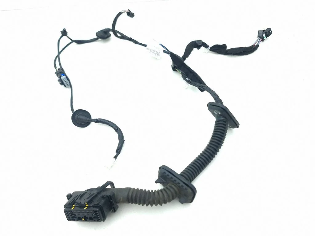 Front door wiring loom 241253709R