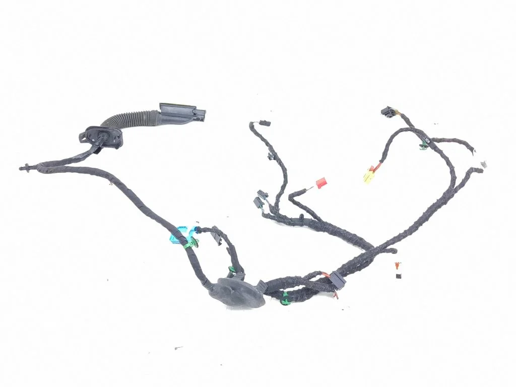 Front door wiring loom TAB016130AH