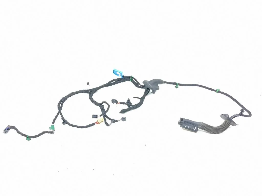 Front door wiring loom TAB016130AG