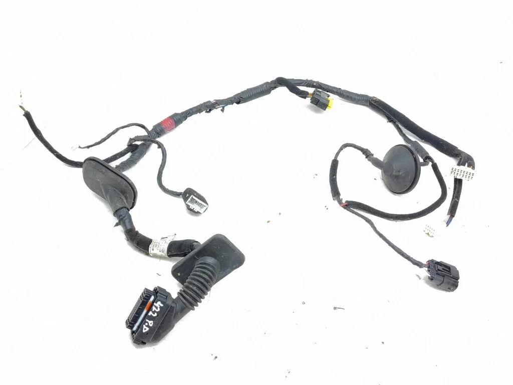 Front door wiring loom 916003Z180
