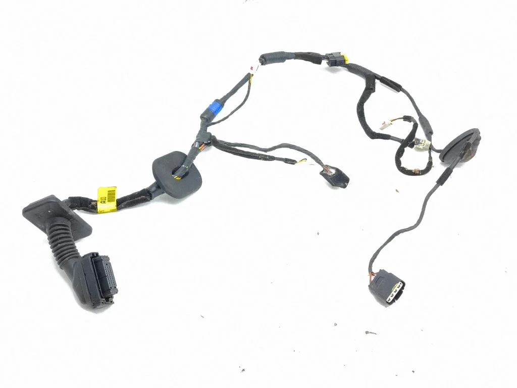 Front door wiring loom 916103Z100