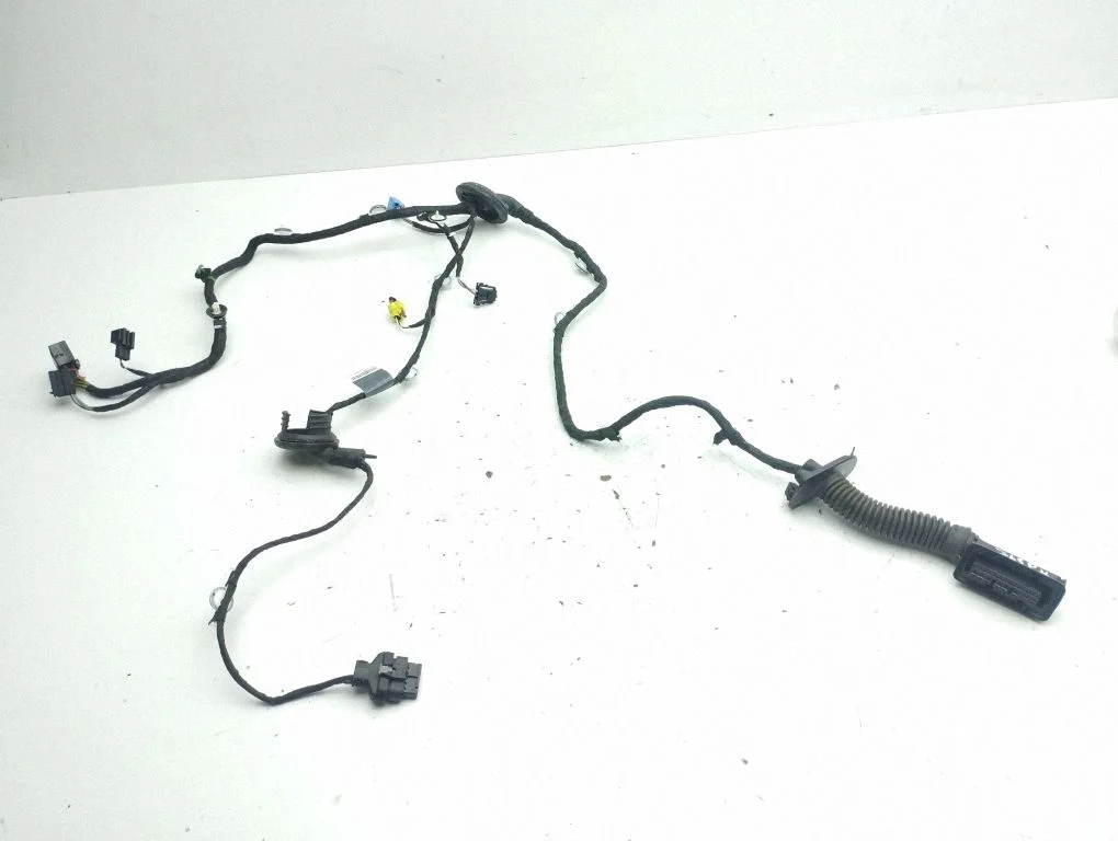 Front door wiring loom 81A971030R
