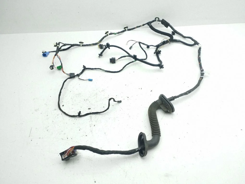 Front door wiring loom 306795702C