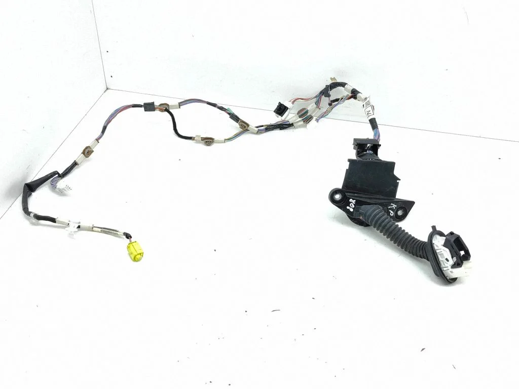Esiukse juhtmestik 821520ZW10F