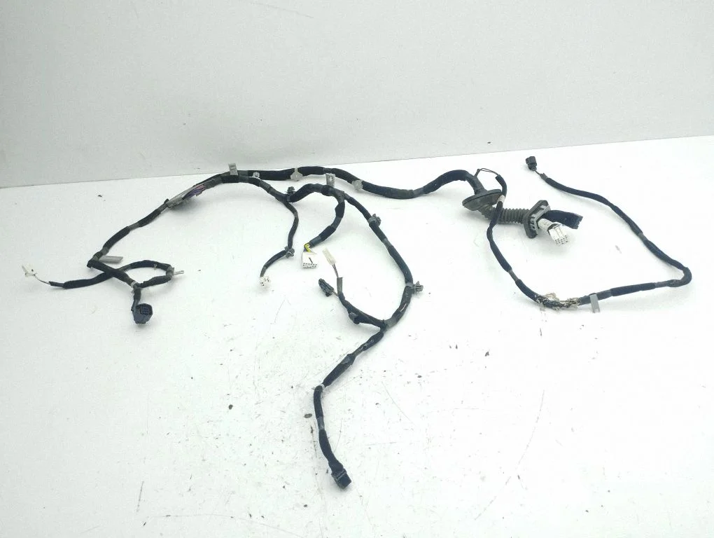Front door wiring loom 916101F320