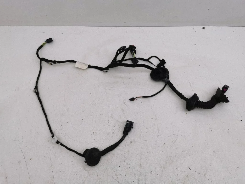 Front door wiring loom – left