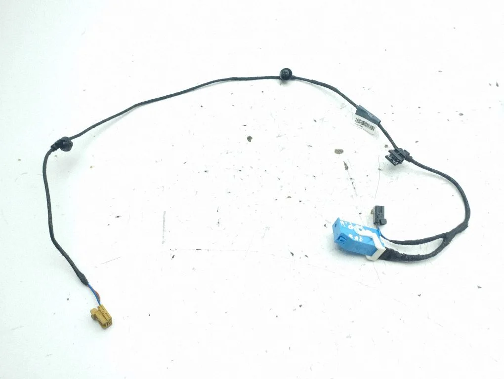 Front door wiring loom 81A971036H