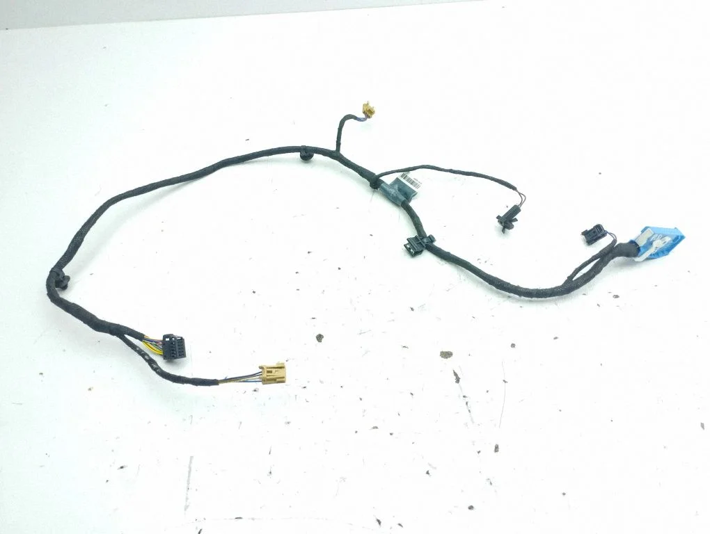 Front door wiring loom 81A971035AP