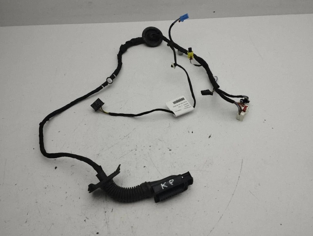 Front door wiring loom 82C971030F