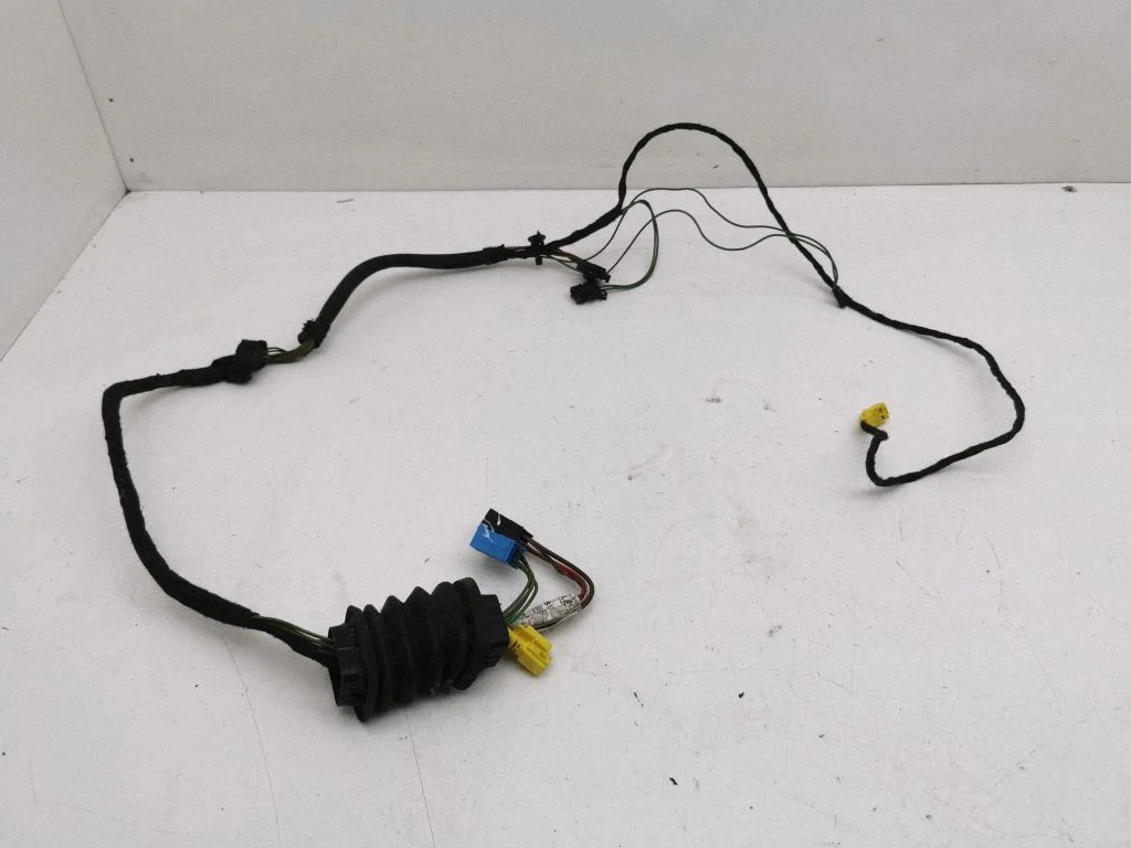 Front door wiring loom A2034402513