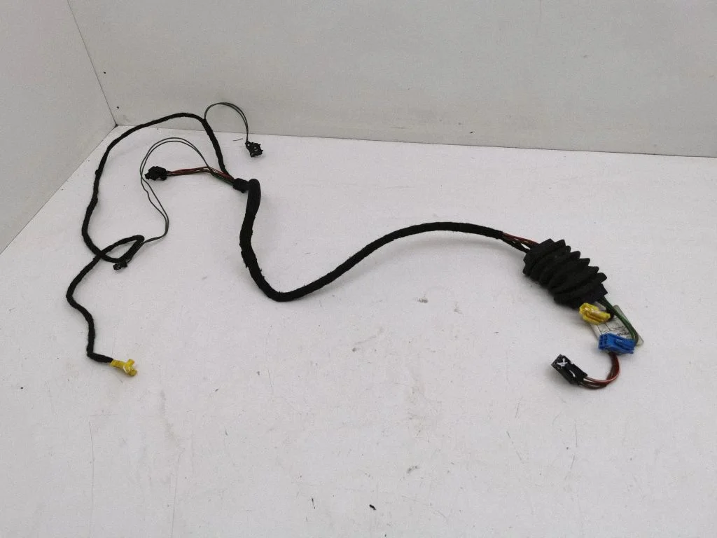 Front door wiring loom A2034402513