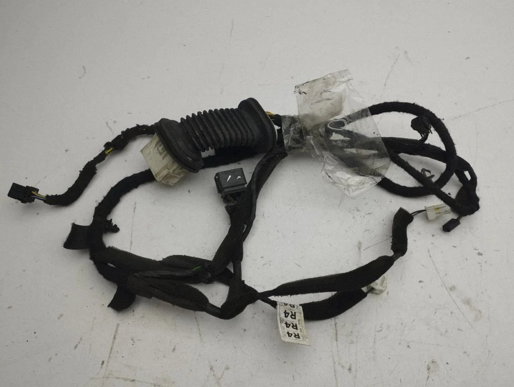 Front door wiring loom 719R400