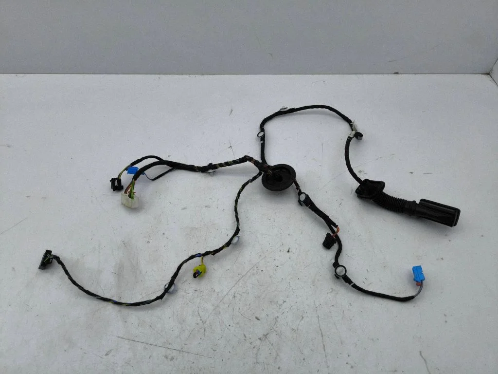 Front door wiring loom 8Y2971030H