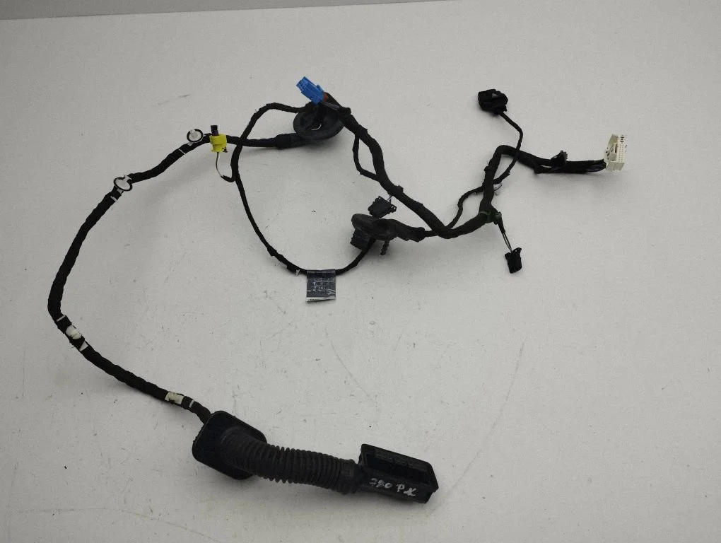 Front door wiring loom 81a971030ah