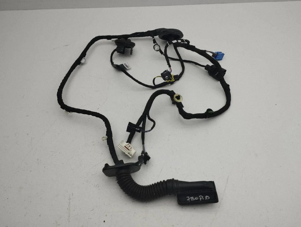 Front door wiring loom 81A971029AK
