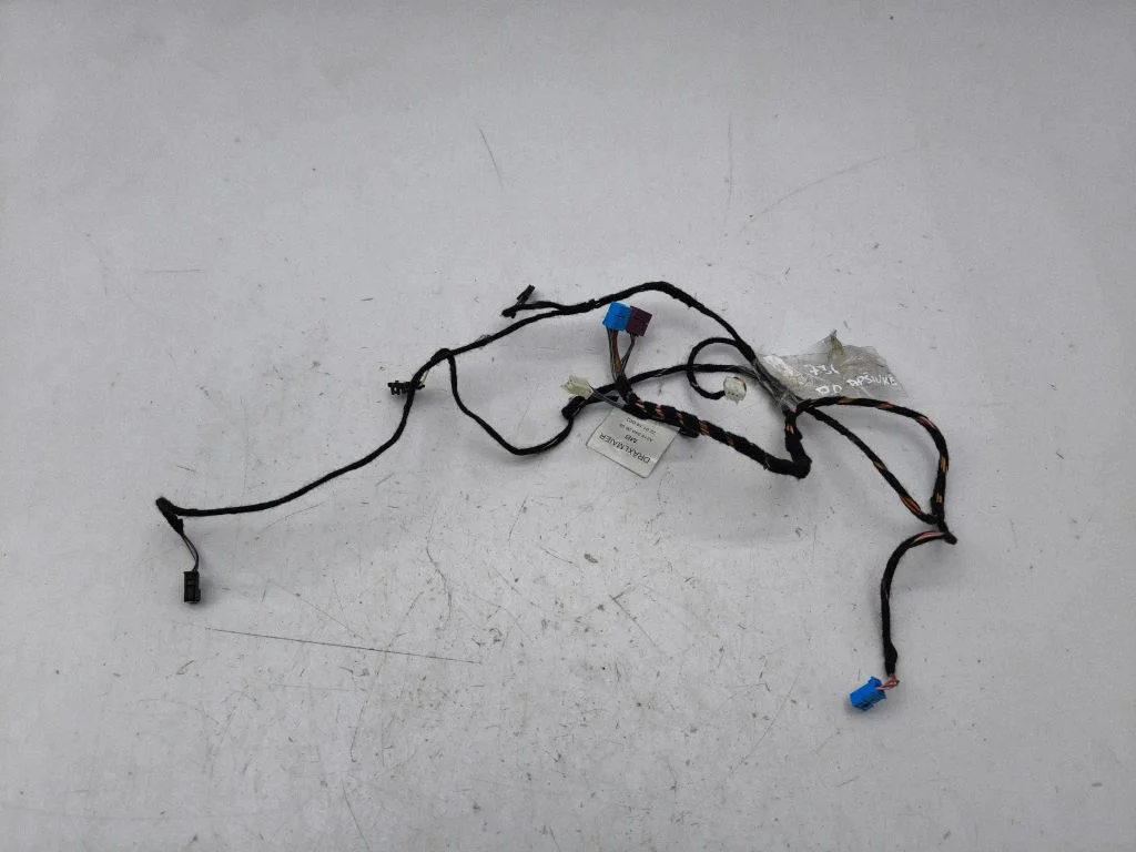 Front door wiring loom A2185402605