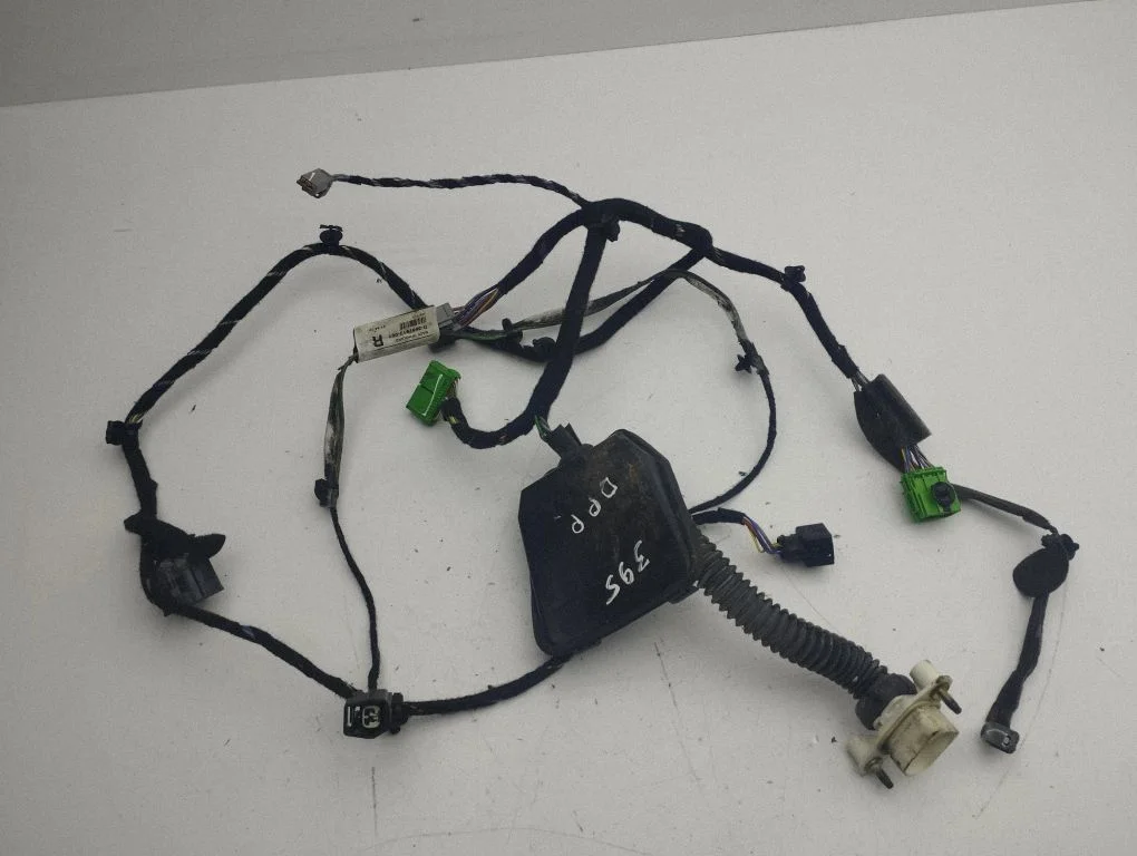 Front door wiring loom D8697913001