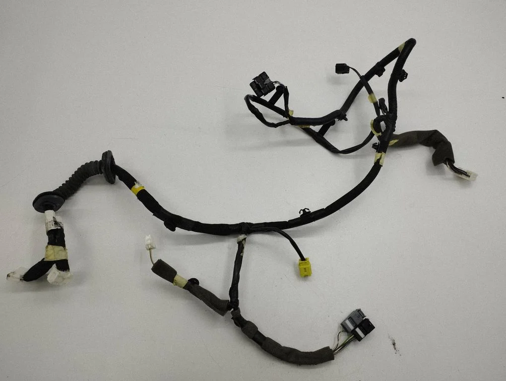Front door wiring loom 241251894R