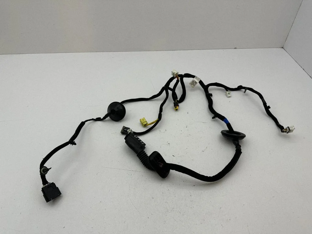 Priekšējo durvju vadu instalācija 91615G5321