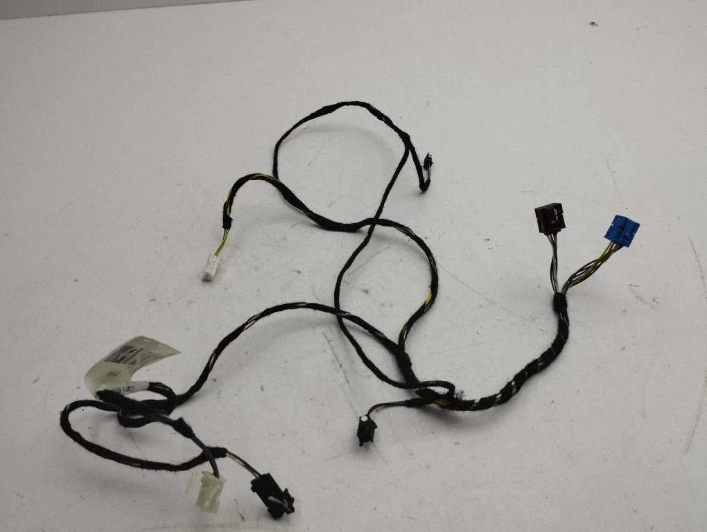 Front door wiring loom A2185403005