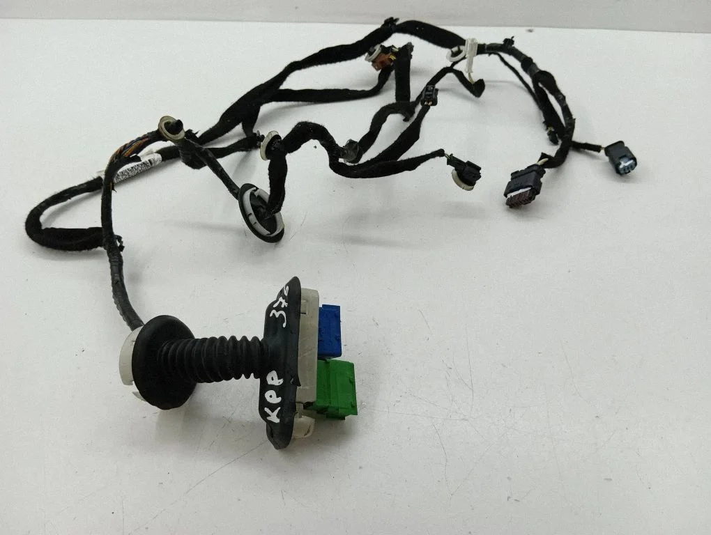 Front door wiring loom 9801372680