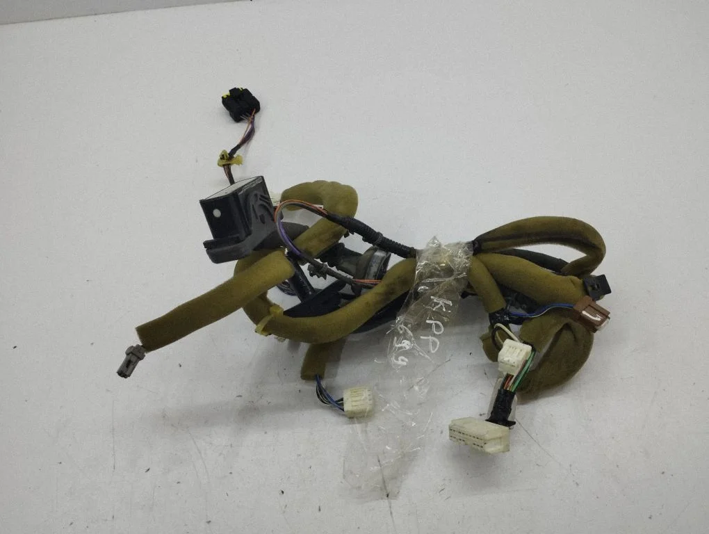 Front door wiring loom 24125CG710