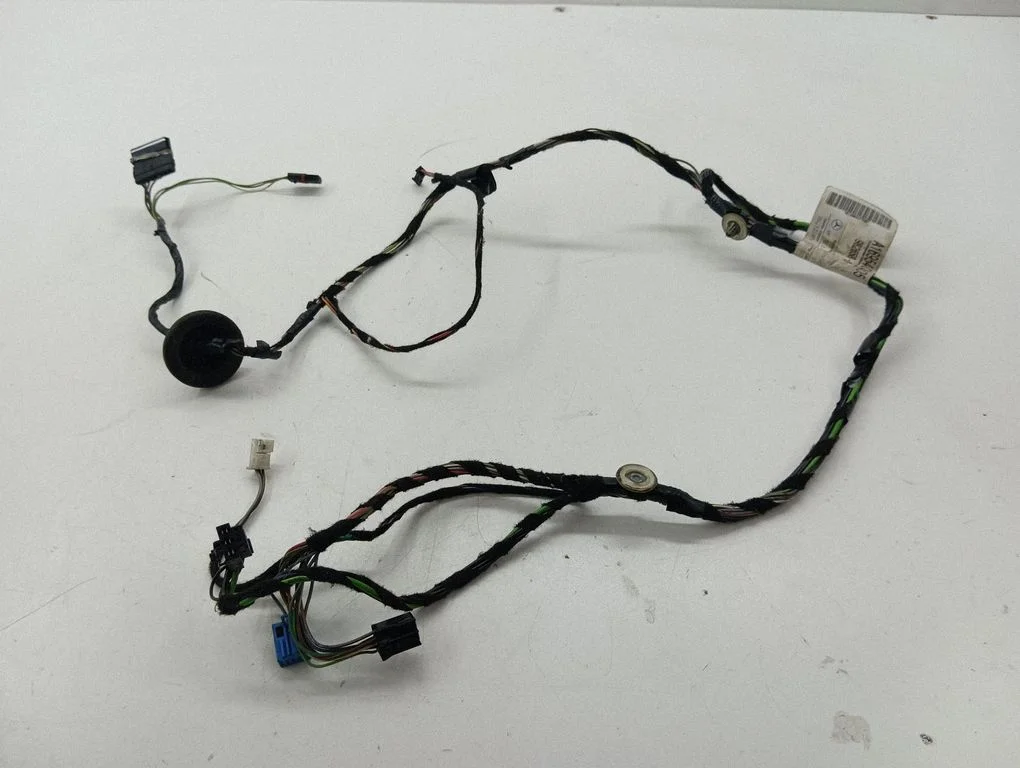 Priekšējo durvju vadu instalācija A1695407405