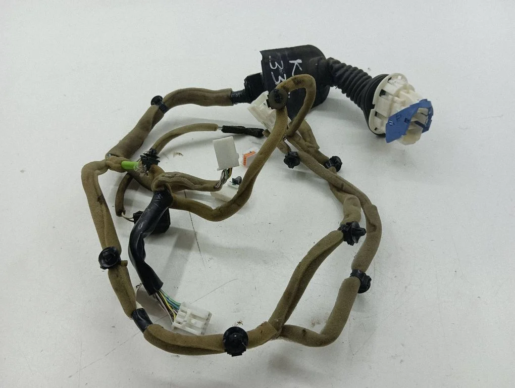 Front door wiring loom EH1667200