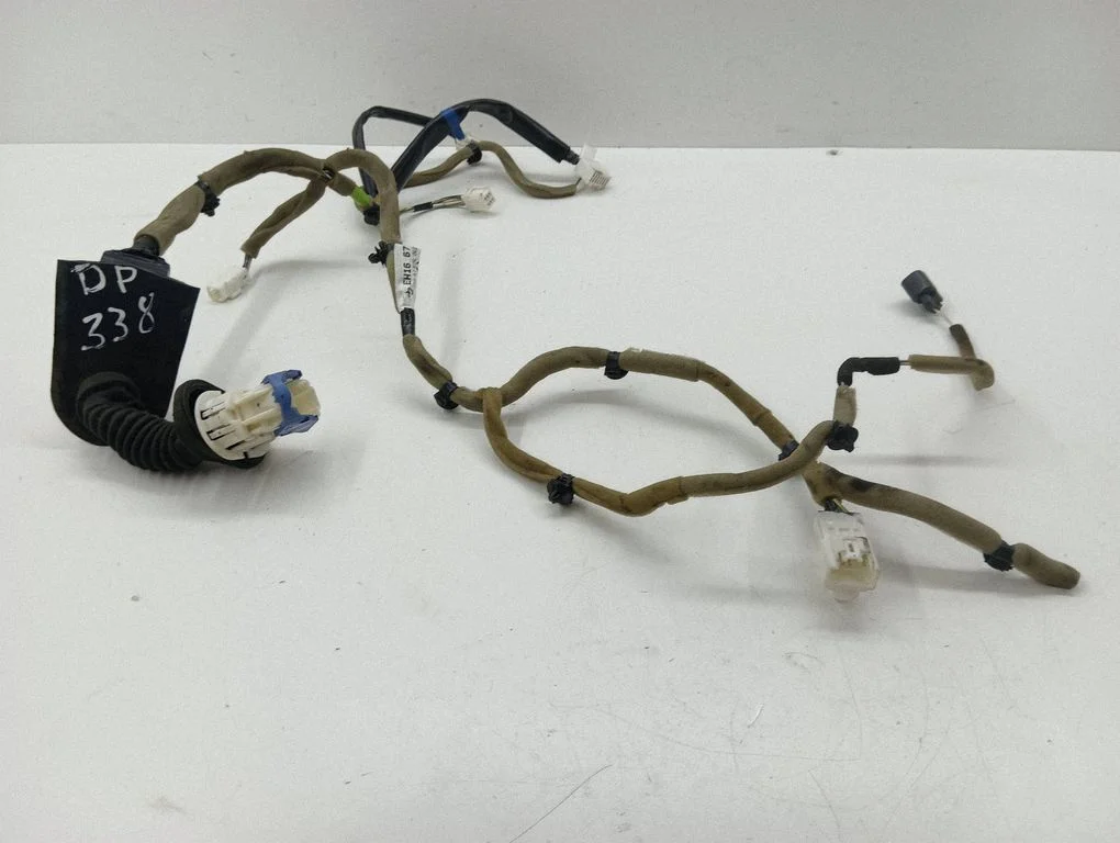 Front door wiring loom EH1667190A