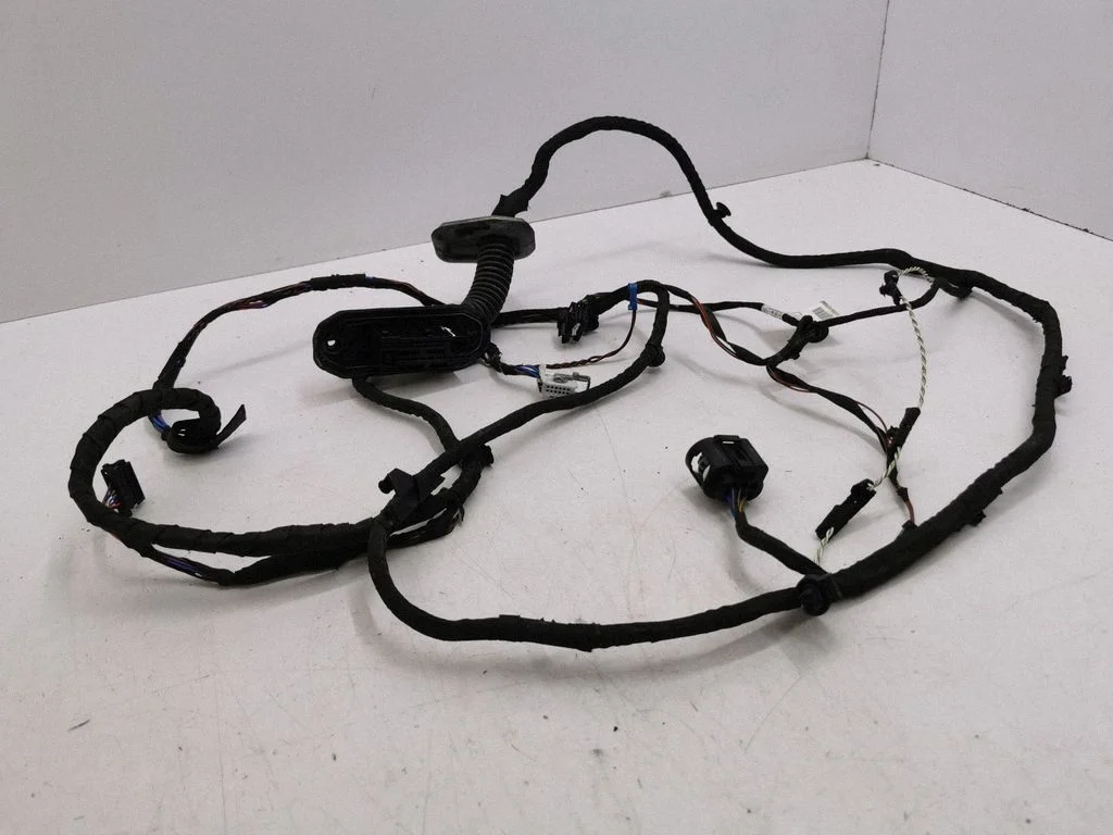 Front door wiring loom 9255986