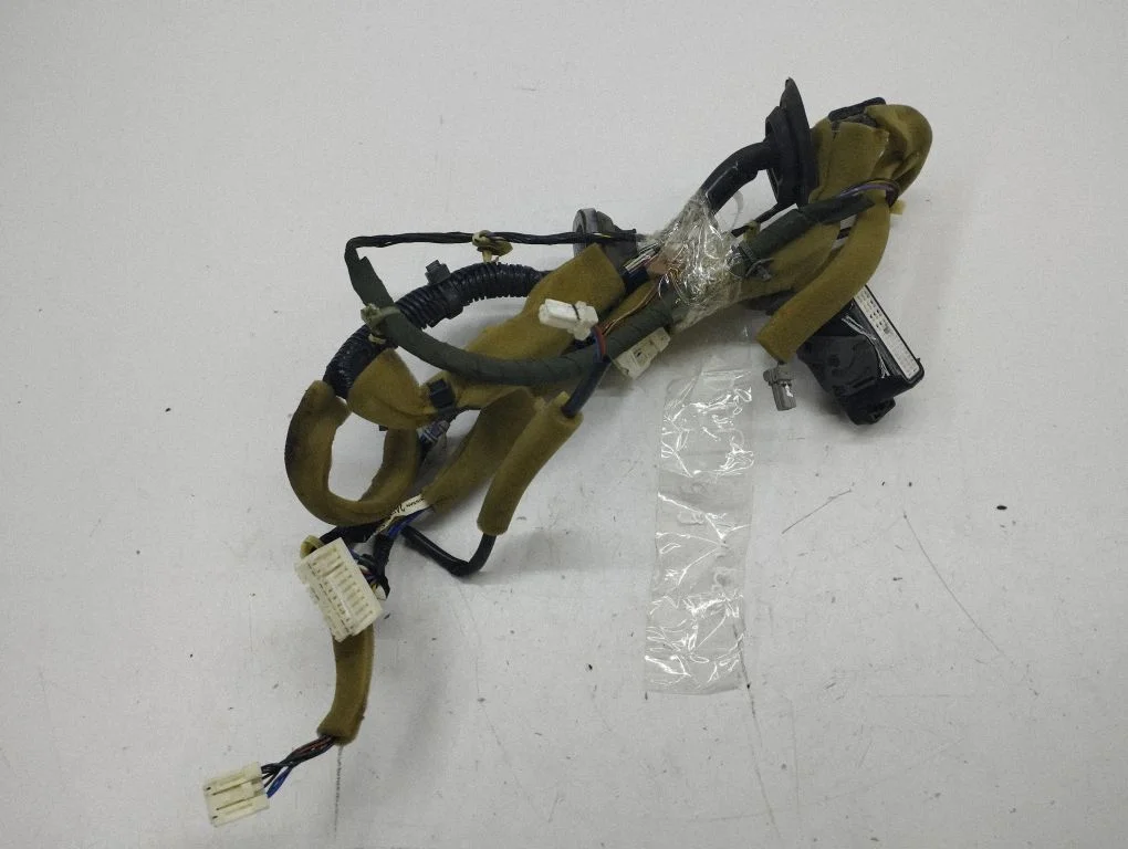 Front door wiring loom 24124CG710