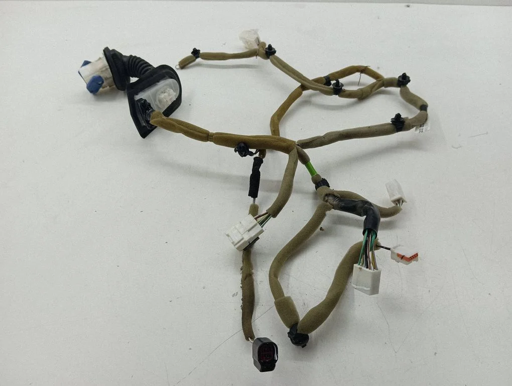 Front door wiring loom EH7067200Z01