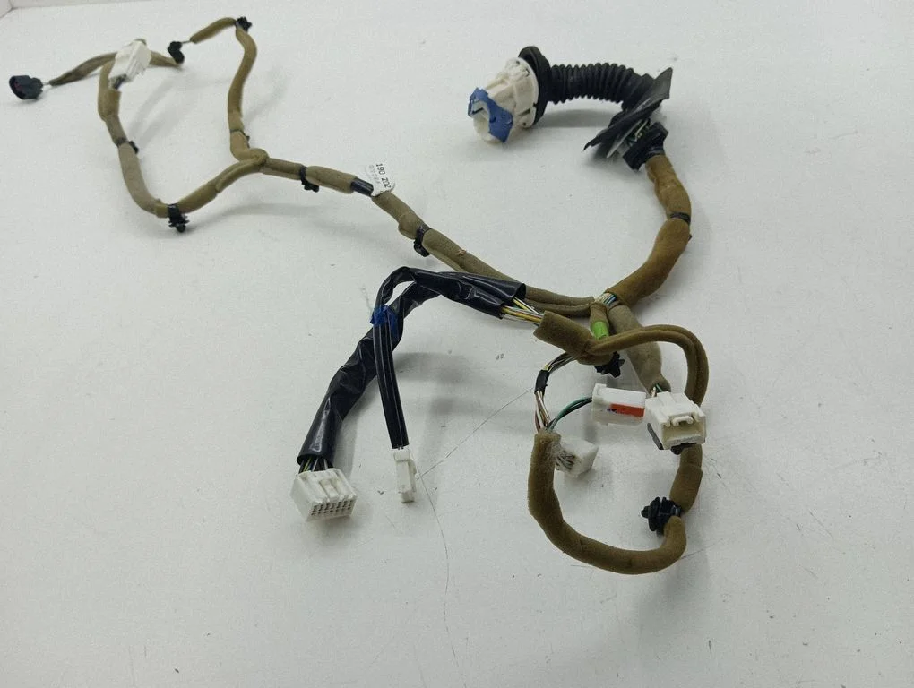 Front door wiring loom EH7067190Z02
