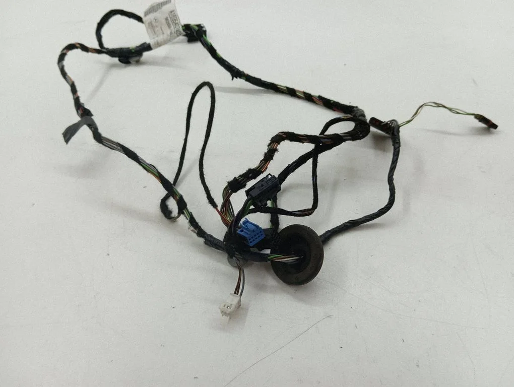 Front door wiring loom A1695407405