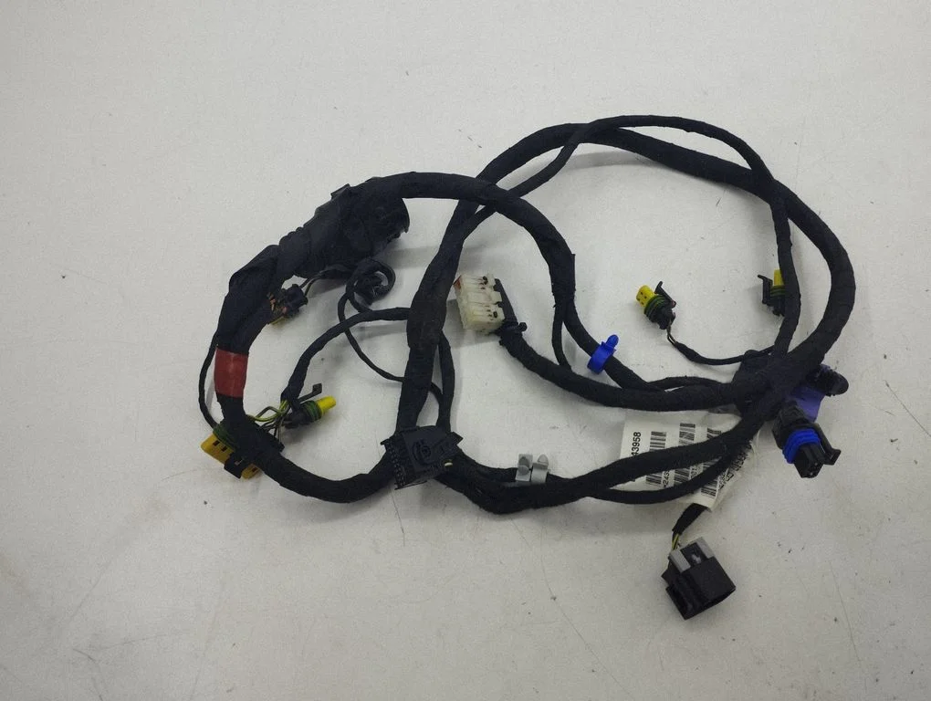 Front door wiring loom 243958