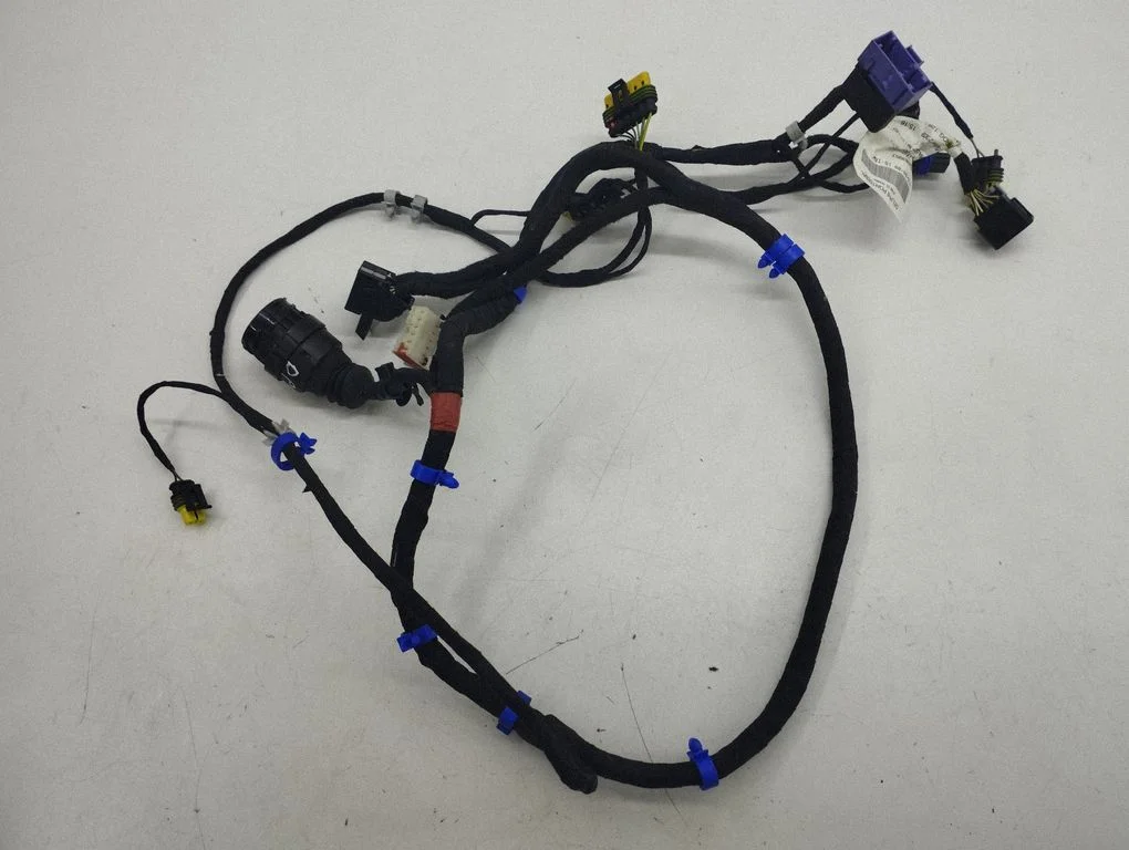Front door wiring loom 243957