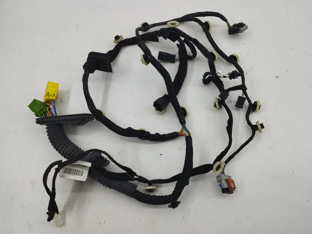 Front door wiring loom 9842520480