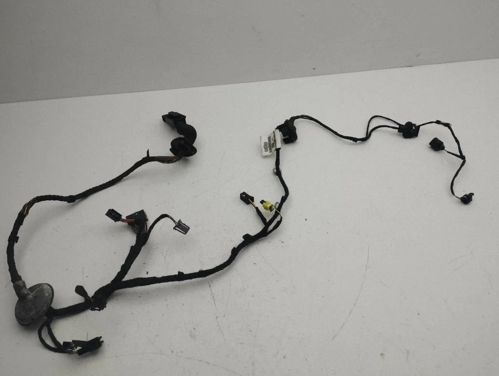 Front door wiring loom 4G8971030CQ
