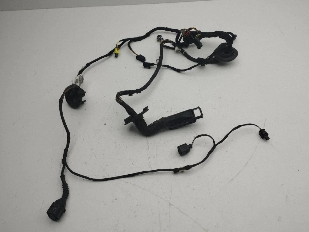 Front door wiring loom 4G8971029EK