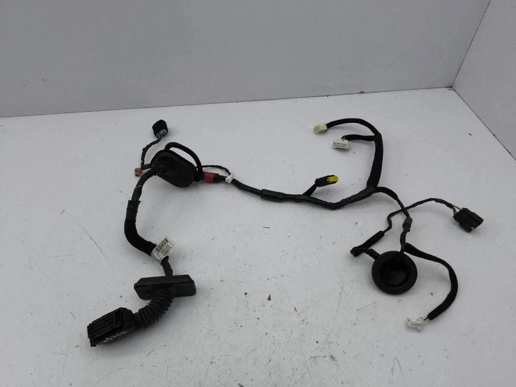 Front door wiring loom – right