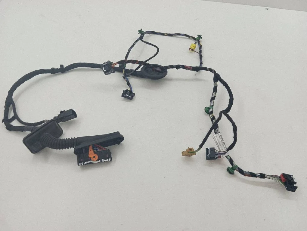 Front door wiring loom 6F2971120FC