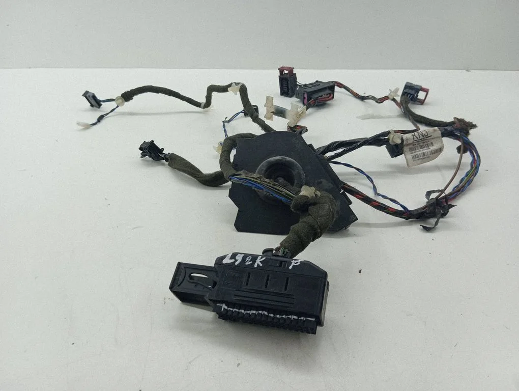 Front door wiring loom 13170505