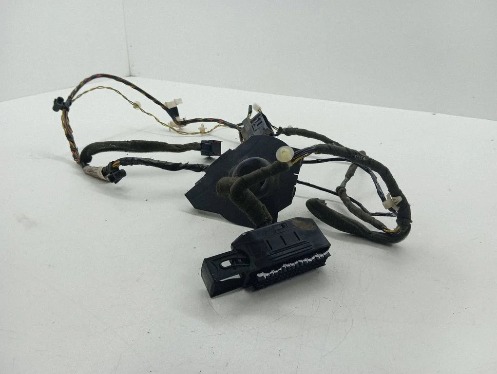 Front door wiring loom 13170508