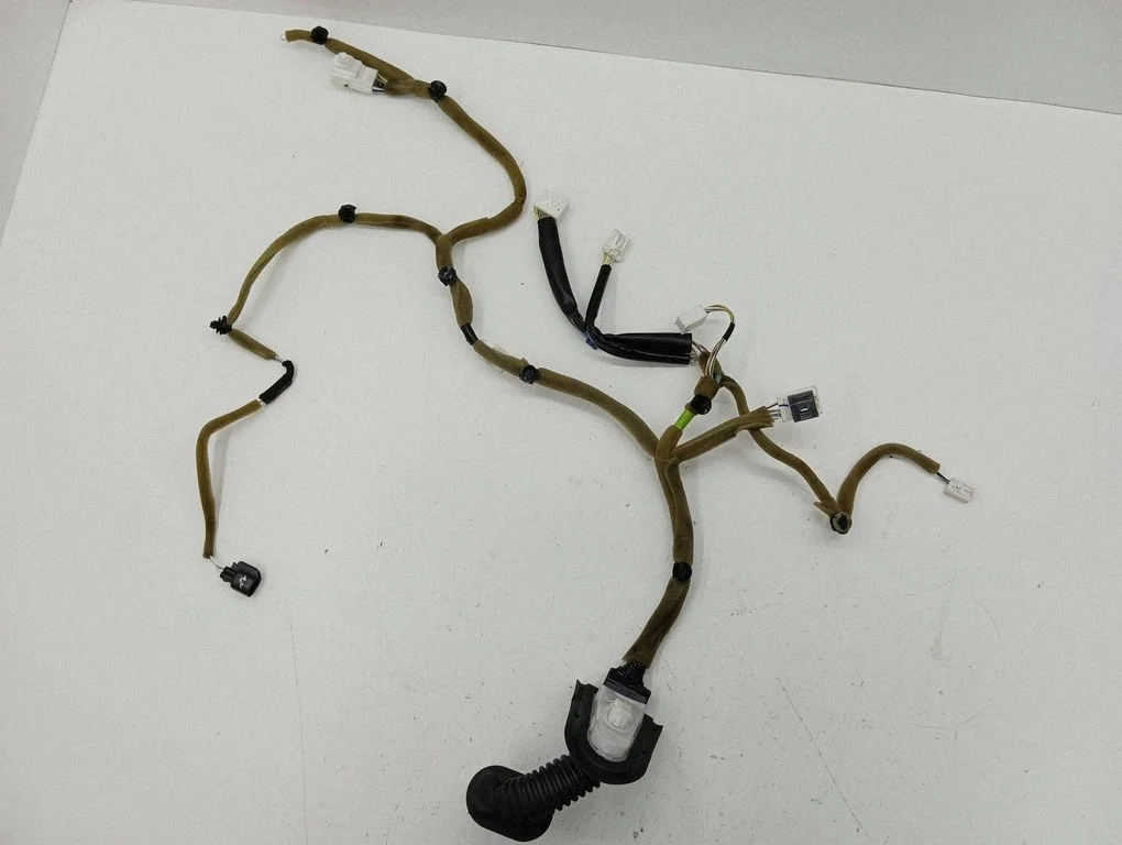 Front door wiring loom EH7067190ZO2