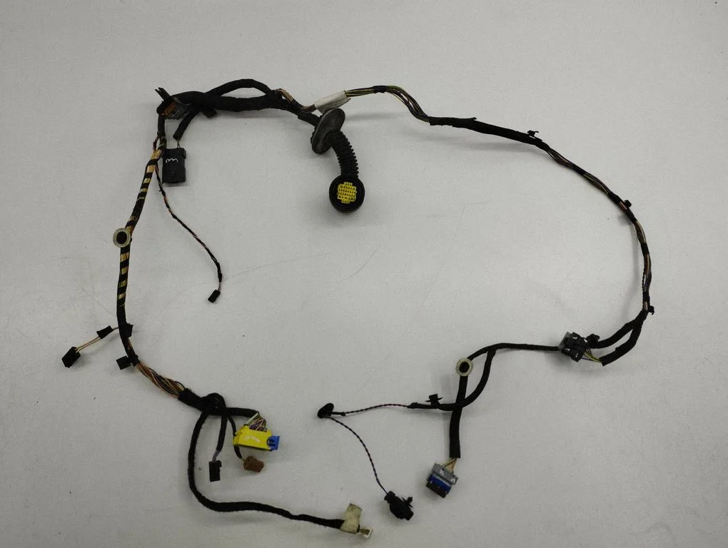 Front door wiring loom 9804094580